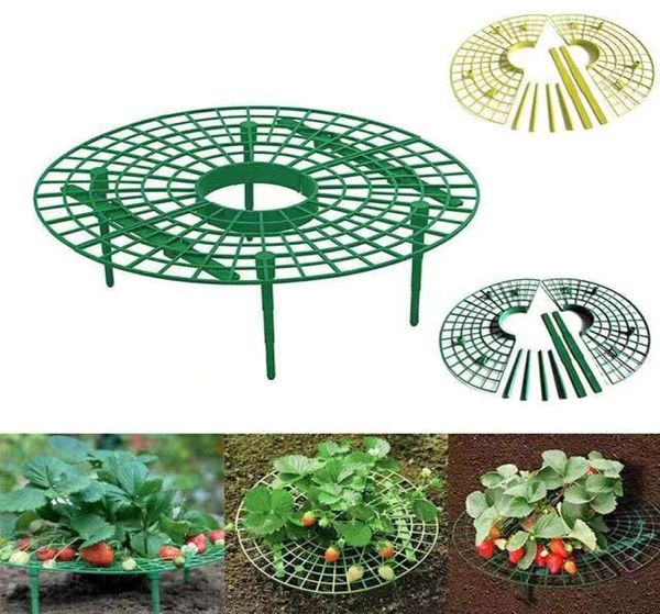 Plants Support Plantadores Planting Strawberry Rack Fruit suporta plantas escalando adereços de videira suporte de jardinagem de pilares de flores Agricult5185154