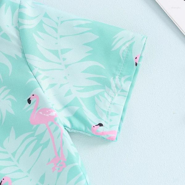 Одежда наборы для малыша Baby Boy Summer Etbits Flamingo Tie Butte Butting Dow