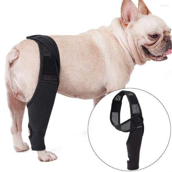 Abbigliamento per cani Abbigliamento Brettri per tutore per ginocchiere per supporto per le gambe della gamba Stifle Flexible Treat Treat Luxing Dogs Accessori