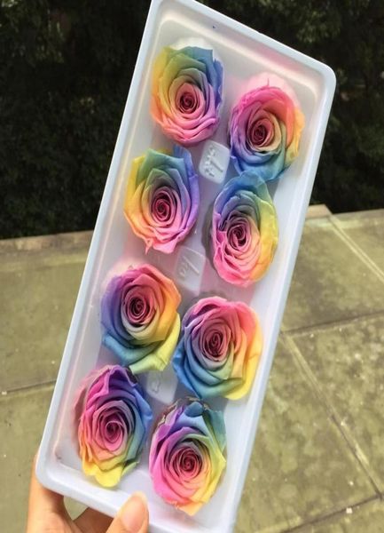 Grade A preservado Rainbow Rose Headernelle Roses para Festas de Casamento Acessórios para Decoração de Flores de Fuas Favor Y11288725138