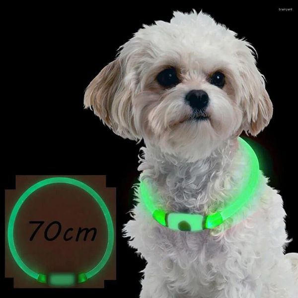 Colares de cães colares multifuncionais TPU podem cortar a iluminação recarregável USB