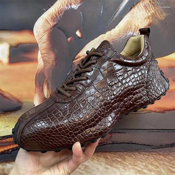 Sapatos casuais autênticos reais reais de crocodilo masculino tênis marrom