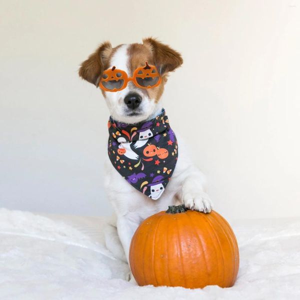 Decorazioni per un abbigliamento per cani Pet Potching Pumpkin Pumpkin Piccoli Occhiali da sole per cani COSTRO DELLA PARTI DI PLASCA