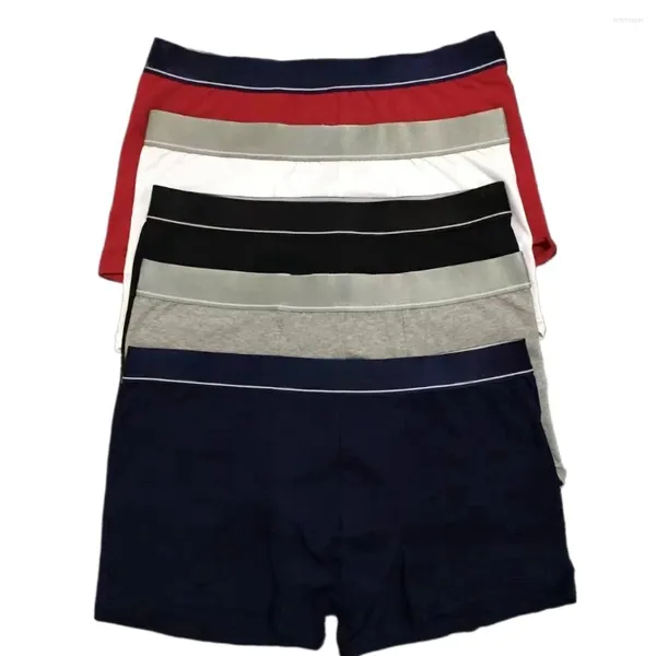 Underpants M -2xl Cotton traspirante per boyshorts elastico logo logo cinturino maschile bianche