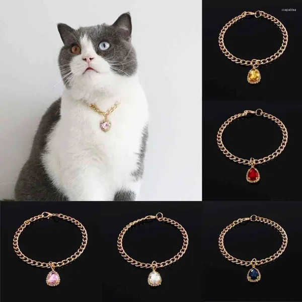 Abbigliamento per cani 2 pezzi in metallo Crystal Diamond Cioncant Cat Cat Collar regolabile festa di compleanno principessa per animali domestici