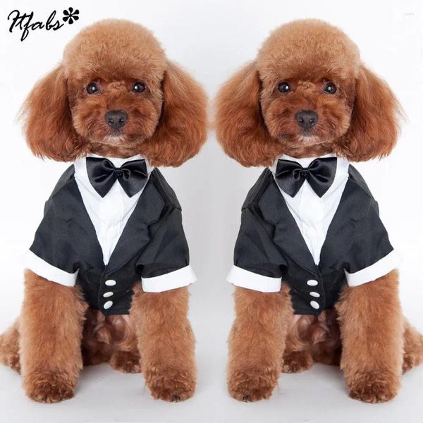 Abbigliamento per cani da smoking da smoking gol wok cravatta affascinante cucciolo di nozze costume bottoni abiti da gatto abito nero abito nero s/m/l/xl/xxl