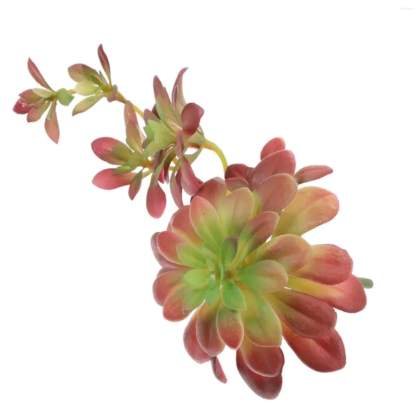 Fiori decorativi simulazione pianta succulente succulente succulenti steli arredamento di perle per le perle