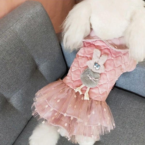 Abbigliamento per cani carino in pizzo principessa vestito in pelle scamosciata per le bambole vestiti da ragazza tutu per feste invernali per feste di nozze orsacchiotto