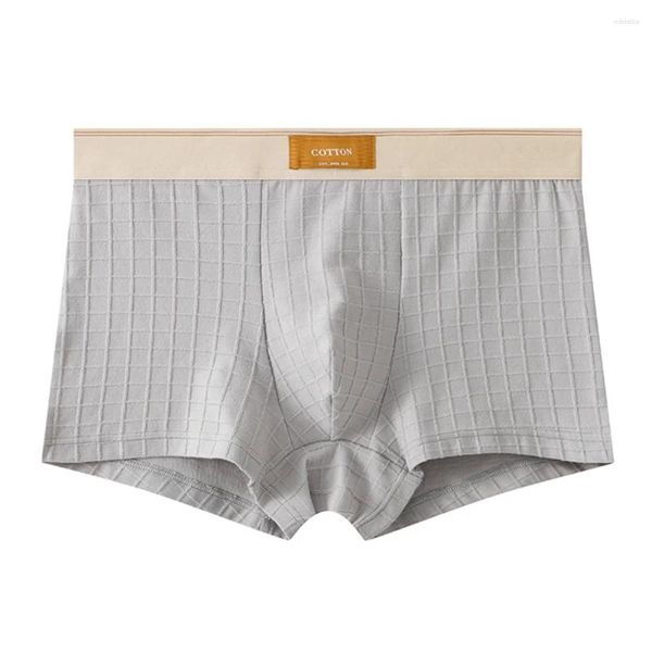 Underpants 1pc sexy maschile in vita medio comfort biancheria biancheria bianche da bulge boxer pantaloncini panoramici