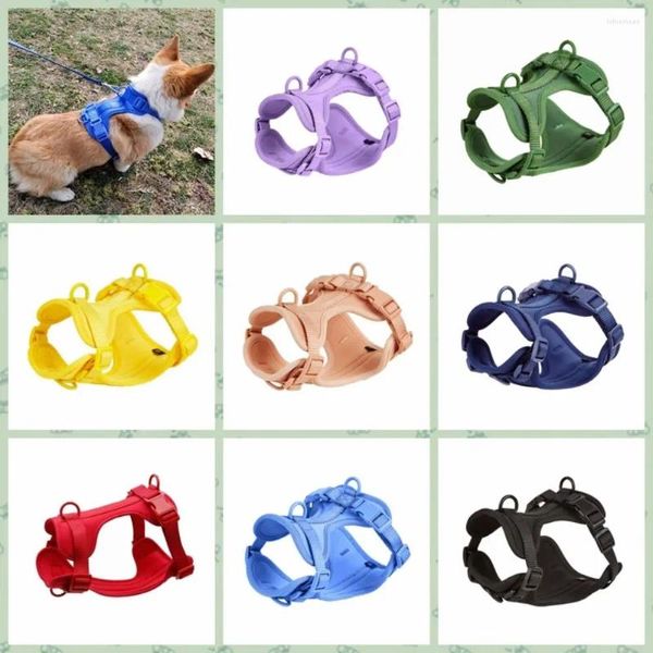 Colarinho de cachorro arnês reflexivo colete de colorido colorido tira no peito respirável PVC Anti -breakaway Acessórios para animais de estimação Andar ao ar livre