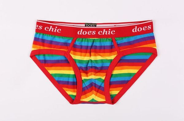 Maikun nuovissimo design Rainbow Gay Gay Pride Cotton Boxer Brief di biancheria intima LGBT per MEN2118809