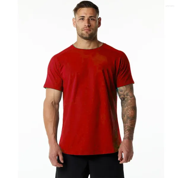 Polos de polos masculino Redonda de cor sólida exercício casual Exercício em branco Black T-shirt Summer Sports Sports Fitness Curto algodão de mangas curtas