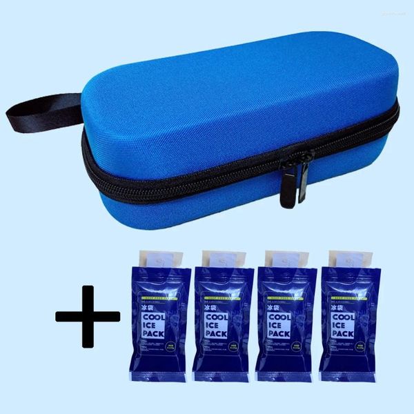 Bolsas de armazenamento Bolsa de bolsas de viagem mais fria Caixa de congelador da bolsa para diabetes EVA Pen do resfriamento com 4 pacote de gelo