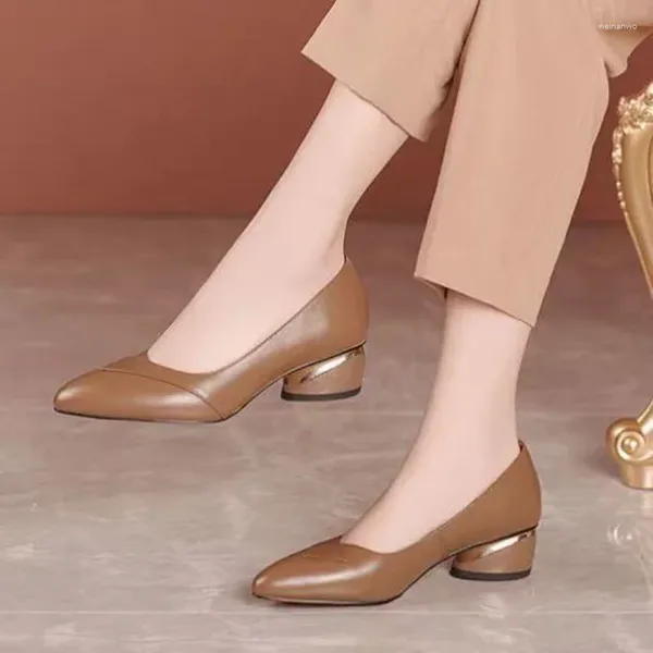 Kleidungsschuhe spitze Zehen Büroarbeit formelle normale Leder lässig für Frauen mit mittleren Absätzen Khaki Block Heel Frau Schuhe klobig e