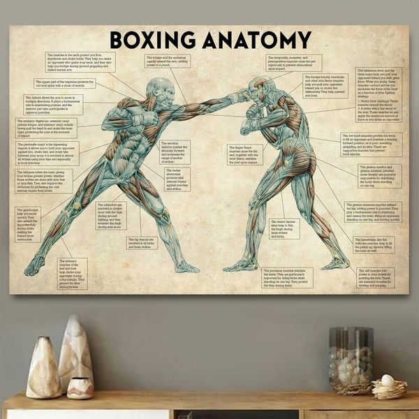 Vintage Boxkörper Anatomie Poster und Drucke Wandkunst Leinwand Malerei Boxing Liebhaber Geschenk für Fitnessraumraum Cuadros Home Dekoration 240423