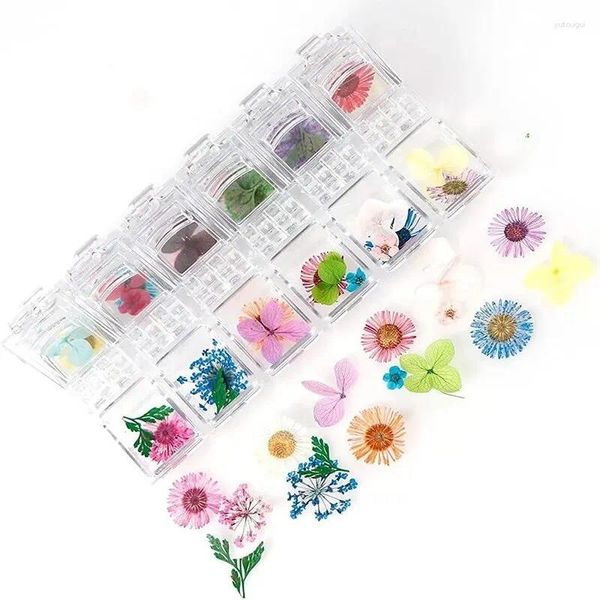 Dekorative Blumen 1 Schachtel Real getrocknetes Gänseblümchen Blumen trockene Pflanzen für Epoxidharz anheizt Anhänger Halskette Schmuck Herstellung von Handwerksform DIY Nail Art Kunst