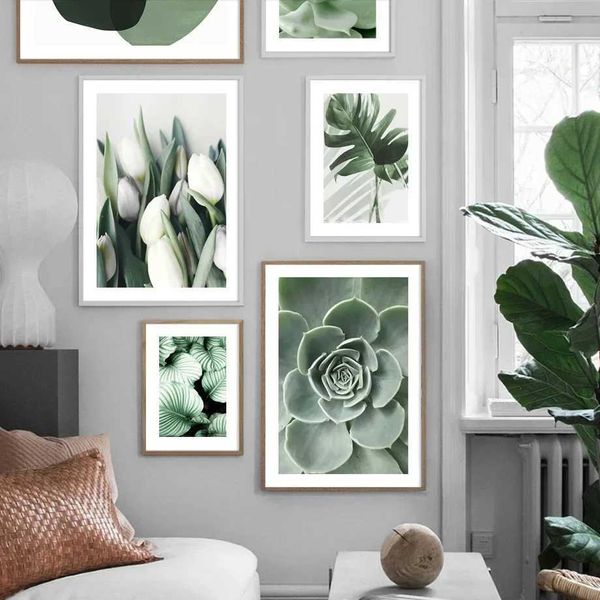 APERS TULIP CACTUS tequila monstera folhas de parede de parede de parede de parede de impressão de impressão de impressão Pintura de pôsteres nórdicos Imagens decorativas Sala de estar J240510