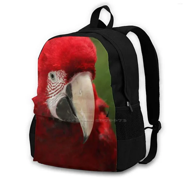 Mochila True Macaws Bird-ARA SCOOL BACO BIG CAPACIDADE LAPTOP de 15 polegadas Macaw Olhos de pássaros Retrato Red Green Poraphy Wild Wild Wild