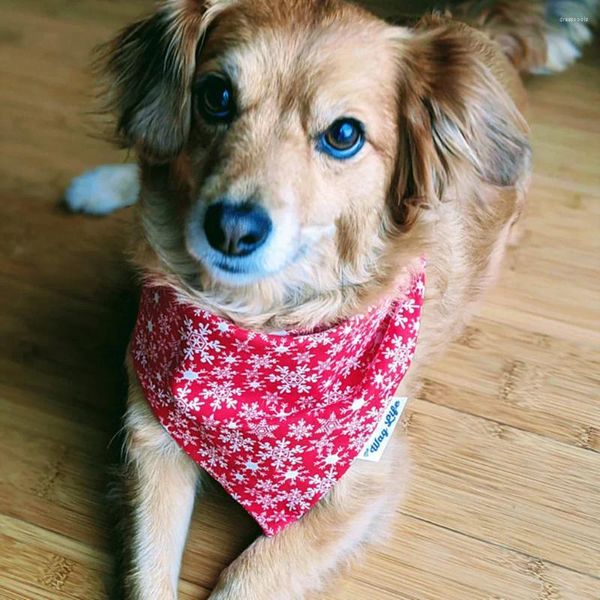 Abbigliamento per cani Custom Christmas Bandana Red Scarf for Dogs Doggies Winter Snowflake Gift Lover
