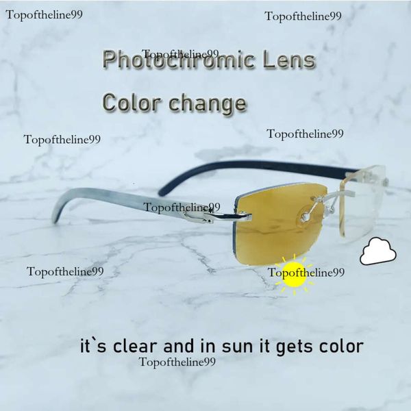 Óculos de sol fotochrômicos carter cor búfalo chifre trocou duas lentes de cores 4 temas copos interchegble homens tons brancos dentro de buffs pretos