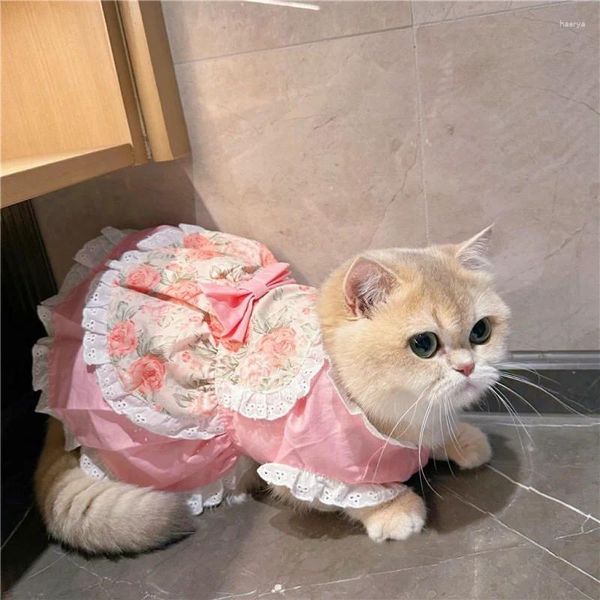 Abbigliamento per cani in pizzo retrò abiti gonna lolita kawaii camuota fiore vestito per cognelli abiti da gatto costume blu rosa costume giapponese oggetto di moda giapponese