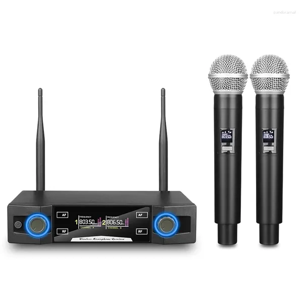 Mikrofone Wireless Mikrofon Ein Schlepptau zwei Handheld FM Small Receiver KTV Performance Host Live -Sendung Live -Sendung