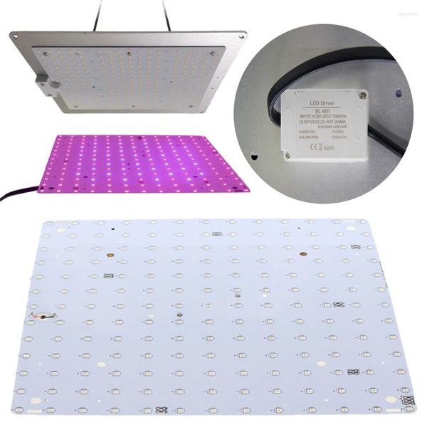 Luzes de cultivo 12W Lâmpada de planta de espectro completa 169 LED LUZ AZUL RED AZUL PARA GARDEIRA DE JARGATA INTERIOR