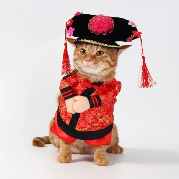 Fantasias criativas de gato engraçado gato figurino pirata roupas de gato roupas gatinho pirata navio figurmhes figurmhes de cachorro vestidos de festa vestidos de festa