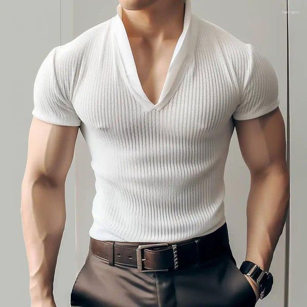 Camisetas masculinas de estilo casual elegante tops incerun malha listrada camisetas ligeiramente transparentes