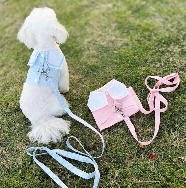 Поводки для собак Весна и летняя шорт -обратная рубашка колледжа кошачья мороженое для дышащего в дышащий ремешок для поводка милый H240506