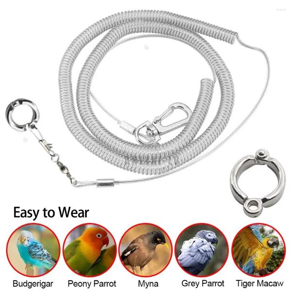 Altre forniture per uccelli 3m/6m Parrot Flying Training Leash Ultra Light Flexible Flexible Anti-bite con cablaggio per gambe all'aperto