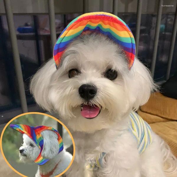 Hundekleidung 1pc Pet Baseball Hat Accessoires Beret Teddy Entenzunge für große mittel kleine Hunde Sommer Feste Farbe
