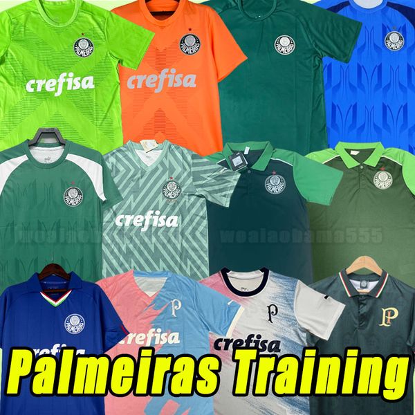 23/24 Palmeiras Soccer Jerseys Champions Campeao Brasileiro 2023 2024 L. Adriano Ramires Dudo Gomez Veiga Willian Roni Men Train