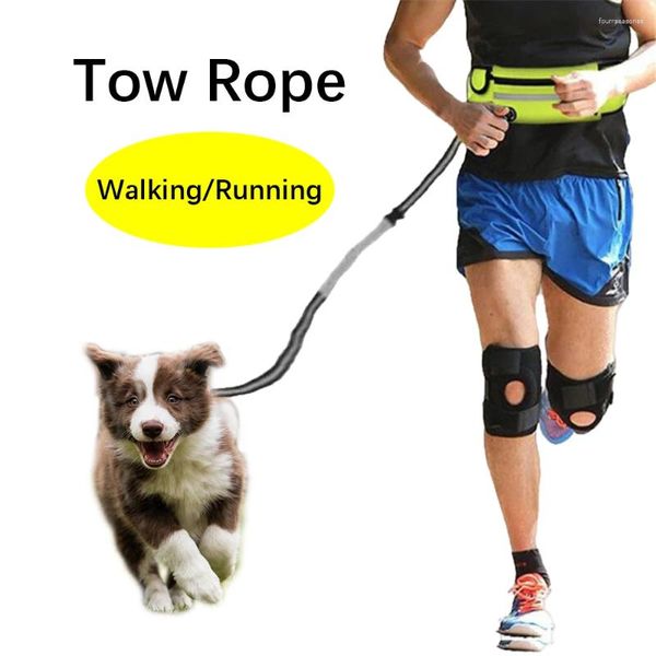 Hundekragen Sport Taillenpack Traktion Leinen Kit Outdoor Running Walking Pet Supplies Reflektierende Stoff Mehrere Funktionen freie Hände
