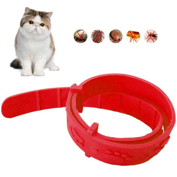 Casas Pet Dog Cat Collar Anti -Flea Mite Piolhos Inseticida Mosquito ao ar livre Acessórios de gato de colarinho de estimação Acessórios para gatos de gato Proteção a longo prazo