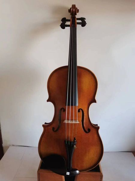 MASTER 15.5 Viola Maggini Modello Mapero Flace Flace Abete Topta intagliato