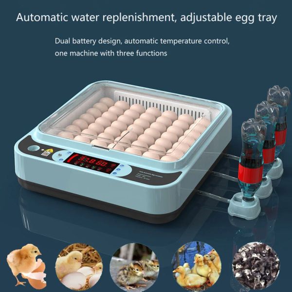 Acessórios 64pcs ovos incubador de incubatório Mini temperatura digital Brooder Brooder Brooder Codorna Ovo Incubadora Equipamento da Incubadora UE UK Plug