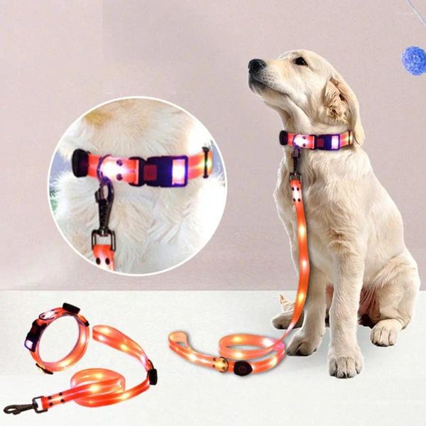 Collari per cani da 1 pc Collar Lunghezza regolabile Lunghezza USB LED ricaricabile LED 3 Modalità Glow notturno per animali domestici