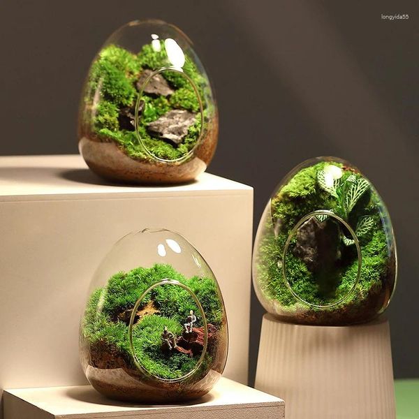 Vasos criativos de garrafas de vidro em forma de ovo suculento vaso hidropônico carnúcia micro paisagem terrário musgo decoração de velas