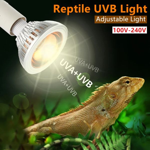 Illuminazione uvb rettile lampada accessori per lucertola lampadina per tartaruga per tartaruga rettili di terrarium forniture lampadina UV per tartarughe