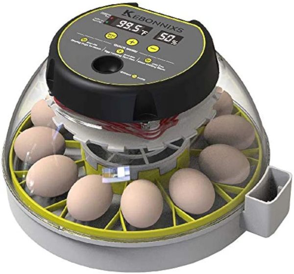 Accessori Kebonnixs 12 Incubatore di uova con display di umidità, candele per uova, tornatore di uova automatico, per cova