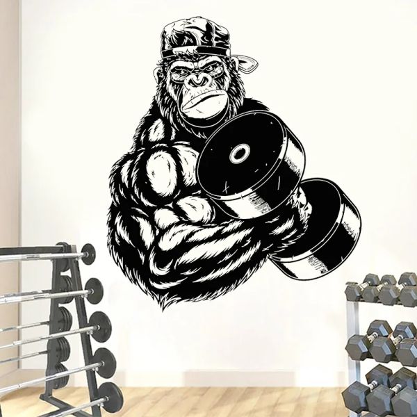 Adesivi cool gorilla palestra muro adesivo in vinile fitness decalline segnale di allenamento arte motivazione manubn show forza arredamento casa poster z549