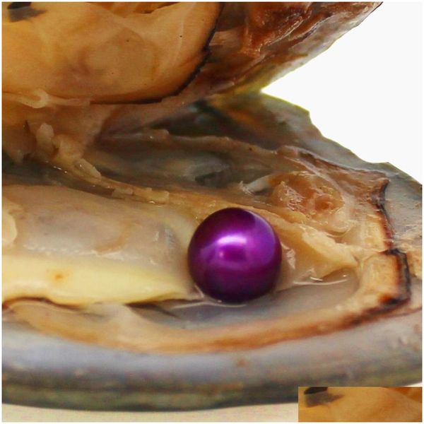 Altre ostriche di perle d'acqua dolce con pacchetti all'ingrosso color viola 18 viola un totale di 28 colori gocce di consegna gioielli sciolti dholf