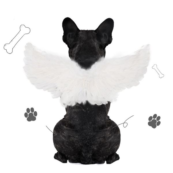 Kleidung Haustier Halloween Feder Flügel Hunde Show Fairy Kostüm Cosplay Requisiten Angel Devil Wings für Hundekatze Party Halloween Weihnachten Haustiere Vorräte