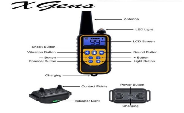 800YD Electric Remote Dog Training Collar Cola à prova d'água Display LCD para todos os tamanhos Modo de vibração de choque de bipe 40OFF3809523
