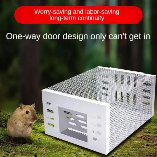 Fallen großer Raum ungiftiger Rattenfalle Cage Safe Haushalt kontinuierliche Mousaprap -Maus -Köderfänger -Box Ratten -Anhänger -Artefaktmetall
