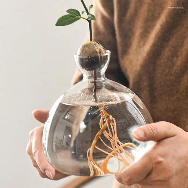 Vasen Avocado Baumanbau Kit Samen Starter Vase Glaspflanze Topf mit Aufklebern Innengarten Gartengeschenke