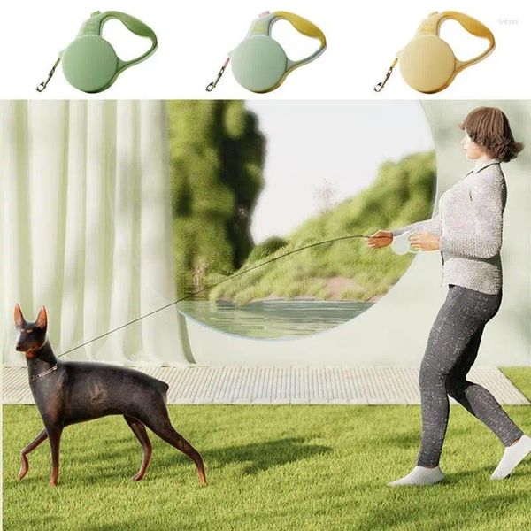 Collari per cani Cuccioli di corda pesante in fibra intrecciata intrecciata da cucciolo di sicurezza a piedi retrattile cinghia per animali domestici Accesserios