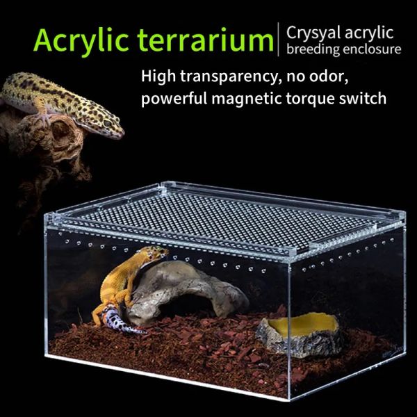 Terrariums Caixa de criação de lagartos de réptil acrílico Spider Scorpion Scorpion Sling acrílico Caso Nano Arboreal Tarântula Tartaruga