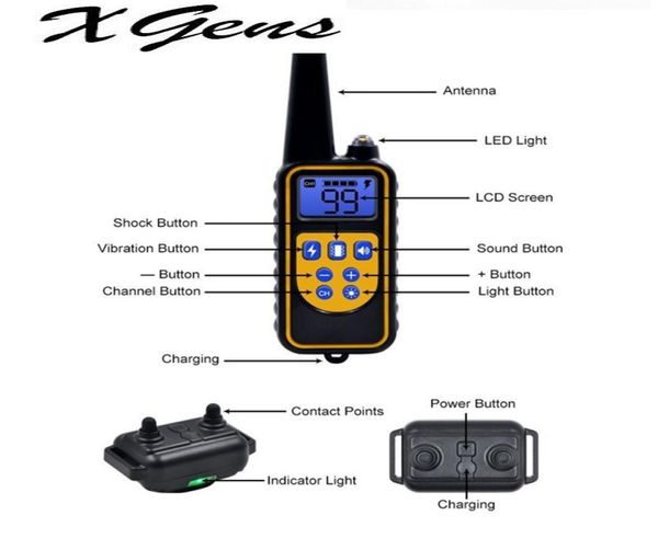 800YD Electric Remote Dog Training Collar Cola à prova d'água Display LCD para todos os tamanhos Modo de vibração de choque de bipe 40OFF1503291